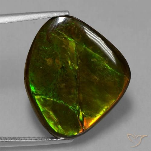 14.70ct Натуральный Многоцветный Аммолит, причудливая, Непрозрачный