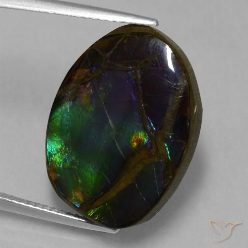 13.58ct Натуральный Многоцветный Аммолит, причудливая, Непрозрачный