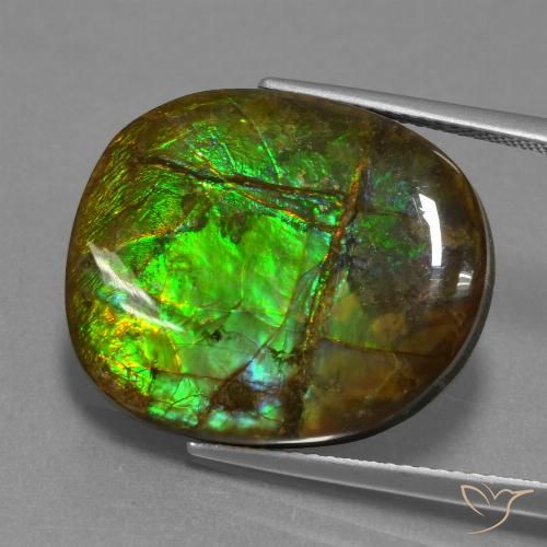 16.29ct Натуральный Многоцветный Аммолит, причудливая, Непрозрачный