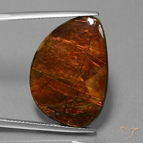 18.53ct Натуральный Многоцветный Аммолит, причудливая, Непрозрачный