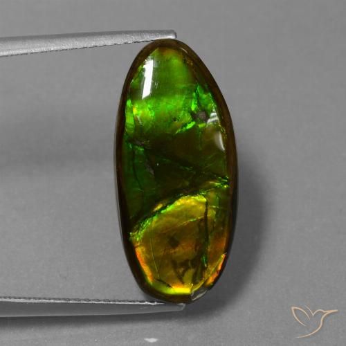 10.85ct Натуральный Многоцветный Аммолит, причудливая, Непрозрачный