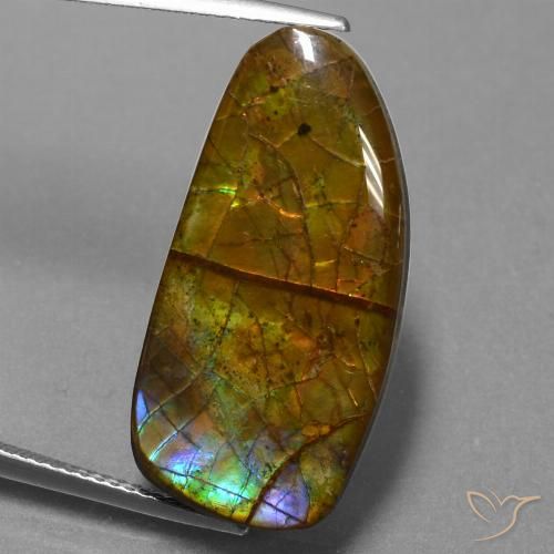 13.89ct Натуральный Многоцветный Аммолит, причудливая, Непрозрачный