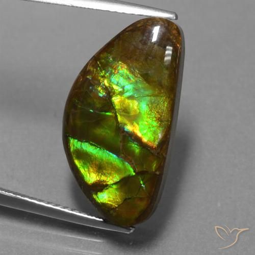 11.30ct Натуральный Многоцветный Аммолит, причудливая, Непрозрачный