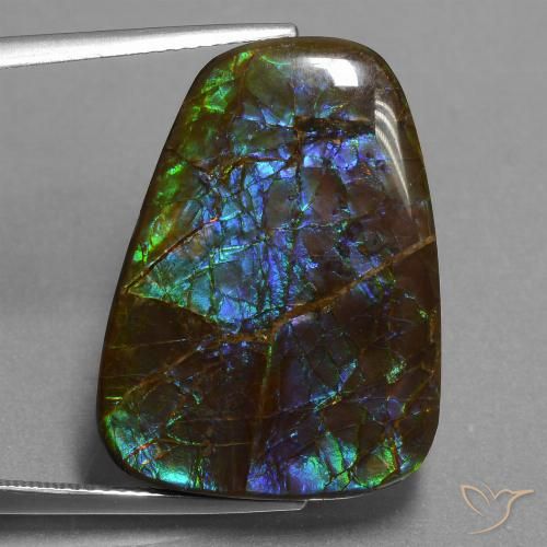 23.98ct Натуральный Многоцветный Аммолит, причудливая, Непрозрачный