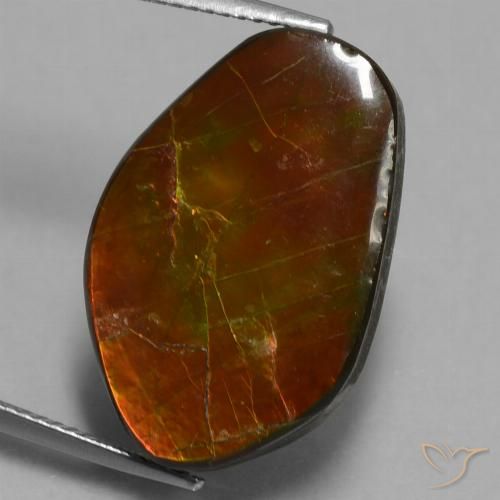 14.61ct Натуральный Многоцветный Аммолит, причудливая, Непрозрачный