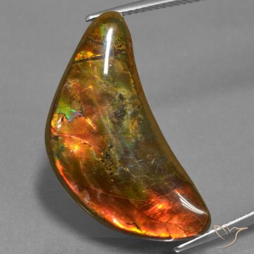17.19ct Натуральный Многоцветный Аммолит, причудливая, Непрозрачный