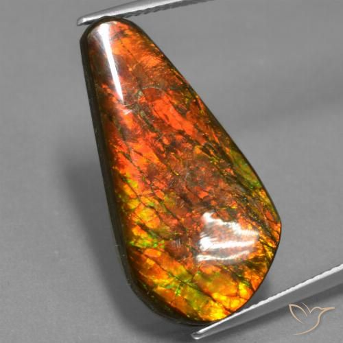 14.87ct Натуральный Многоцветный Аммолит, причудливая, Непрозрачный