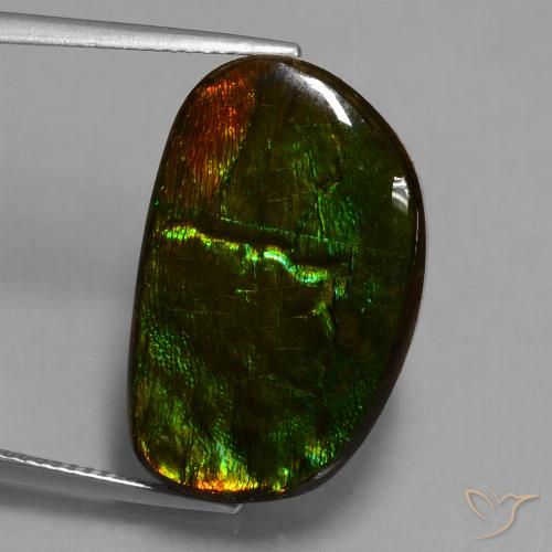 17.20ct Натуральный Многоцветный Аммолит, причудливая, Непрозрачный