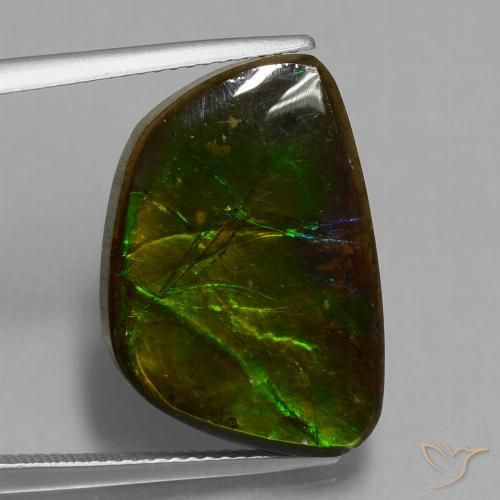 14.74ct Натуральный Многоцветный Аммолит, причудливая, Непрозрачный