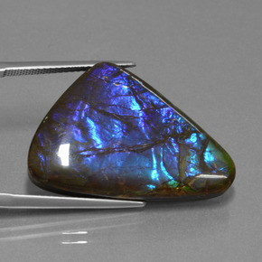 22.64 карата, натуральный Многоцветный Аммолит, Необычная форма, Непрозрачный