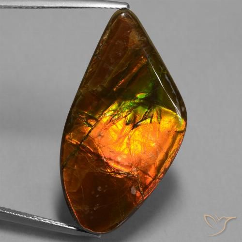 21.71ct Натуральный Многоцветный Аммолит, причудливая, Непрозрачный