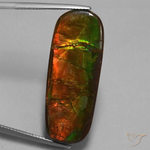 24.02ct Натуральный Многоцветный Аммолит, причудливая, Непрозрачный