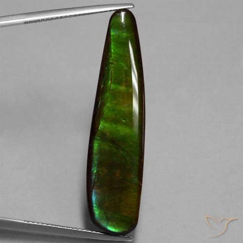 19.66ct Натуральный Многоцветный Аммолит, причудливая, Непрозрачный
