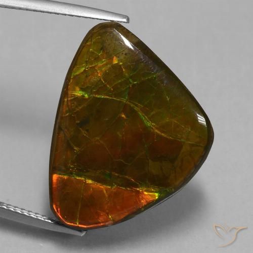 15.18ct Натуральный Многоцветный Аммолит, причудливая, Непрозрачный