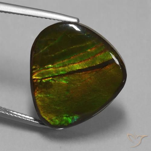 16.74ct Натуральный Многоцветный Аммолит, причудливая, Непрозрачный