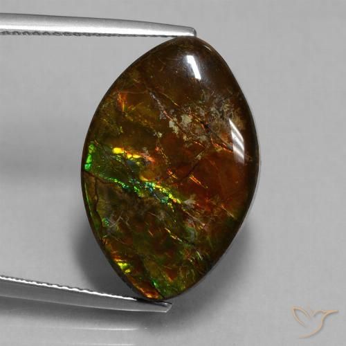 13.51ct Натуральный Многоцветный Аммолит, Маркиза, Непрозрачный