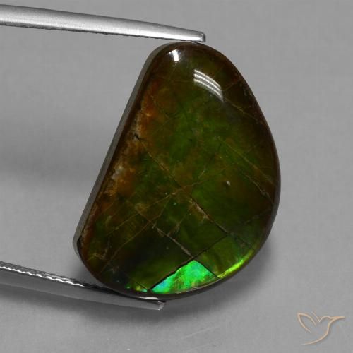 15.89ct Натуральный Многоцветный Аммолит, причудливая, Непрозрачный