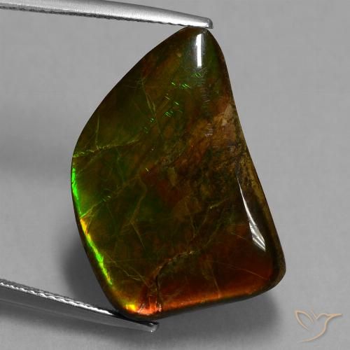 15.62ct Натуральный Многоцветный Аммолит, причудливая, Непрозрачный