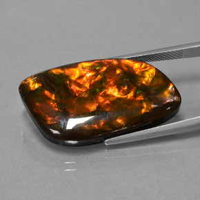 20.42 карата, натуральный Многоцветный Аммолит, Необычная форма, Непрозрачный