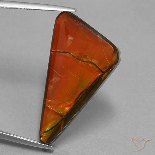 17.93ct Натуральный Многоцветный Аммолит, Триллион, Непрозрачный