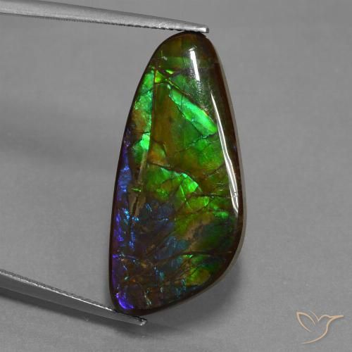 16.76ct Натуральный Многоцветный Аммолит, причудливая, Непрозрачный