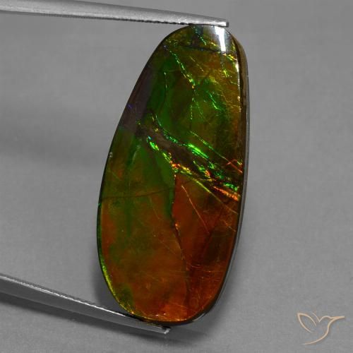 21.63ct Натуральный Многоцветный Аммолит, причудливая, Непрозрачный