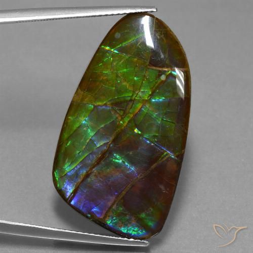 23.16ct Натуральный Многоцветный Аммолит, причудливая, Непрозрачный