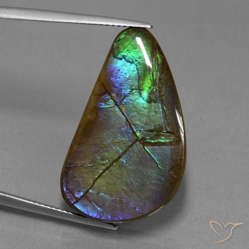 20.44ct Натуральный Многоцветный Аммолит, причудливая, Непрозрачный