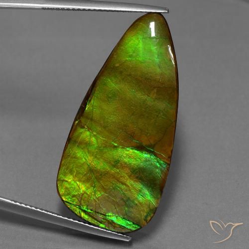 24.28ct Натуральный Многоцветный Аммолит, причудливая, Непрозрачный