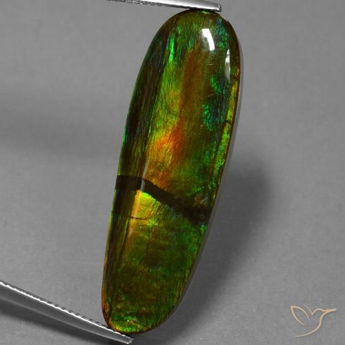 23.33ct Натуральный Многоцветный Аммолит, причудливая, Непрозрачный