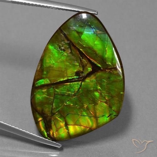 24.51ct Натуральный Многоцветный Аммолит, причудливая, Непрозрачный