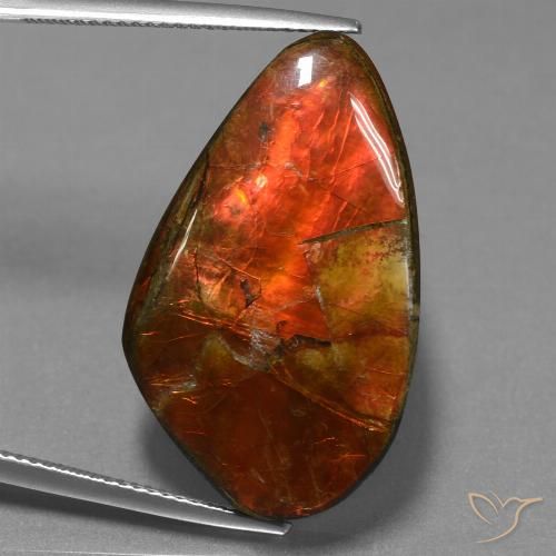 23.21ct Натуральный Многоцветный Аммолит, причудливая, Непрозрачный