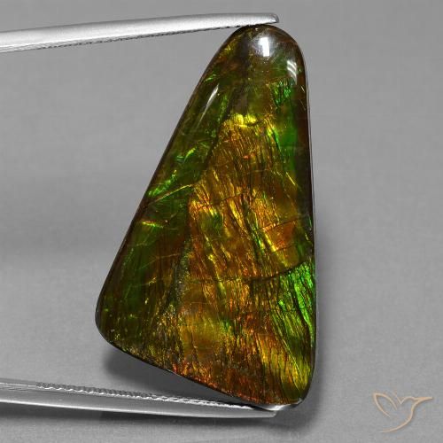 23.06ct Натуральный Многоцветный Аммолит, причудливая, Непрозрачный