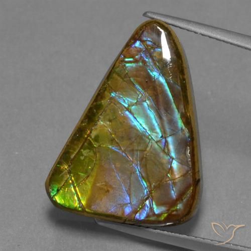 13.18ct Натуральный Многоцветный Аммолит, Триллион, Непрозрачный