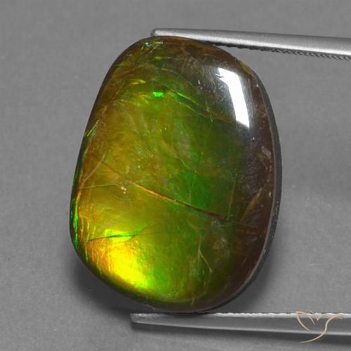 14.13ct Натуральный Многоцветный Аммолит, причудливая, Непрозрачный