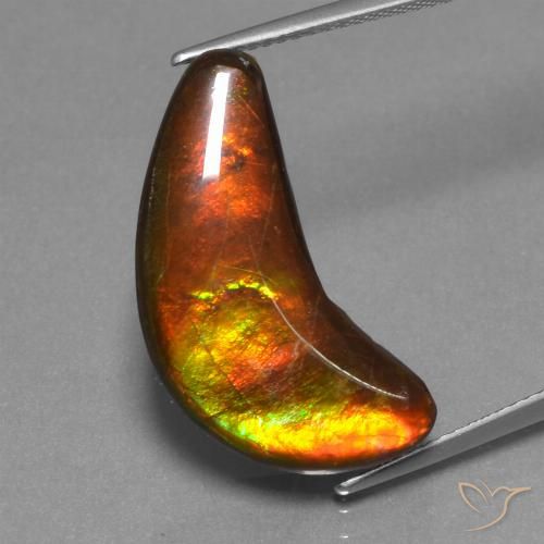 12.08ct Натуральный Многоцветный Аммолит, причудливая, Непрозрачный