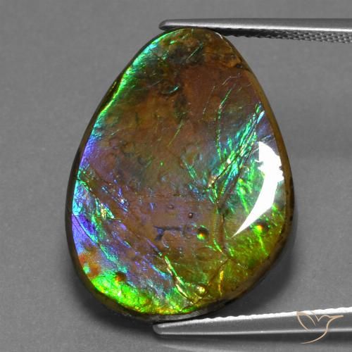 17.46ct Натуральный Многоцветный Аммолит, причудливая, Непрозрачный