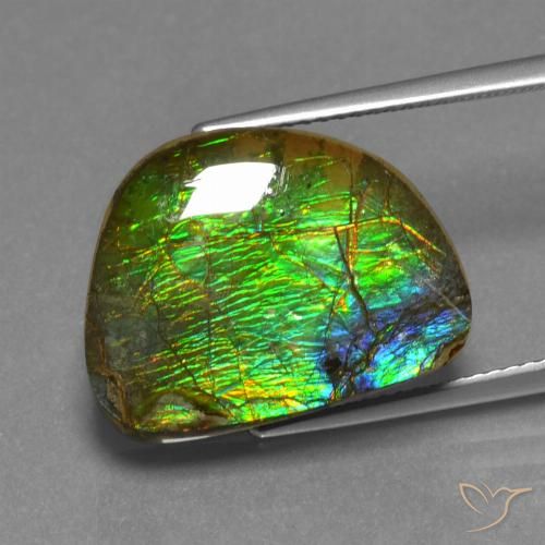 12.44ct Натуральный Многоцветный Аммолит, причудливая, Непрозрачный