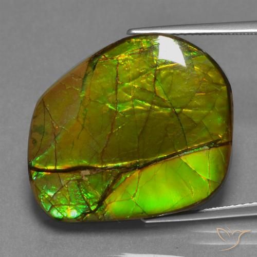 21.26ct Натуральный Многоцветный Аммолит, причудливая, Непрозрачный