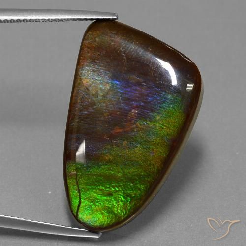 22.78ct Натуральный Многоцветный Аммолит, причудливая, Непрозрачный