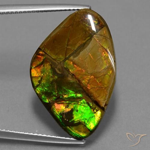 18.98ct Натуральный Многоцветный Аммолит, причудливая, Непрозрачный