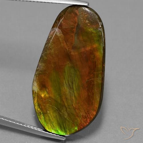 18.71ct Натуральный Многоцветный Аммолит, причудливая, Непрозрачный