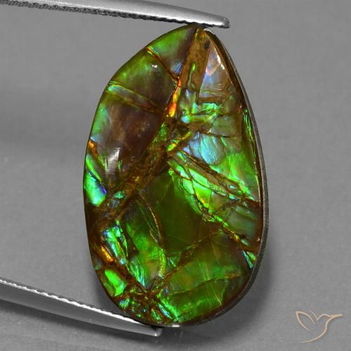 18.19ct Натуральный Многоцветный Аммолит, причудливая, Непрозрачный