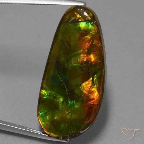 21.09ct Натуральный Многоцветный Аммолит, причудливая, Непрозрачный