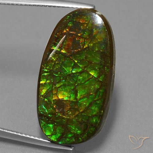 21.50ct Натуральный Многоцветный Аммолит, причудливая, Непрозрачный