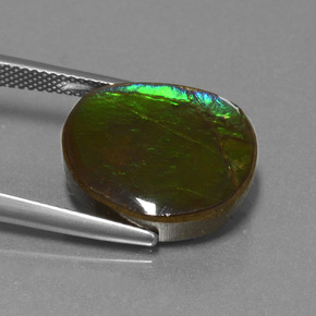 10.58 карата, натуральный Многоцветный Аммолит, Необычная форма, Непрозрачный