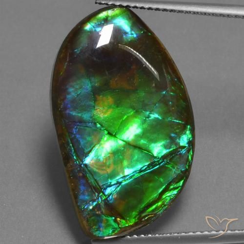 17.95ct Натуральный Многоцветный Аммолит, причудливая, Непрозрачный