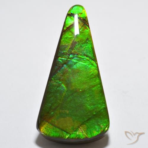 15.83ct Натуральный Многоцветный Аммолит, Триллион, Непрозрачный
