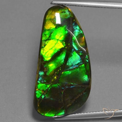 23.45ct Натуральный Многоцветный Аммолит, причудливая, Непрозрачный