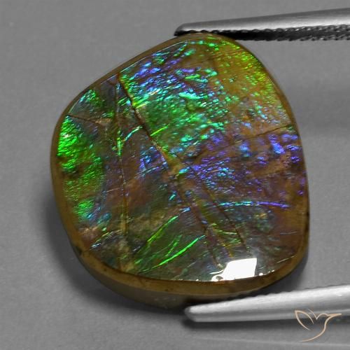 14.96ct Натуральный Многоцветный Аммолит, причудливая, Непрозрачный